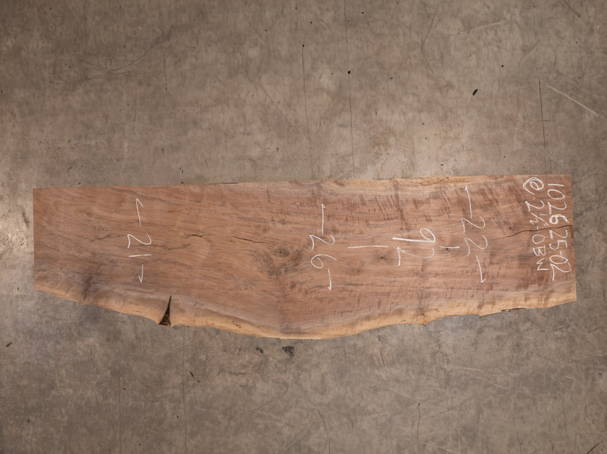 Oregon Black Walnut Slab 102625-2