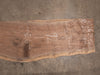 Oregon Black Walnut Slab 102625-2
