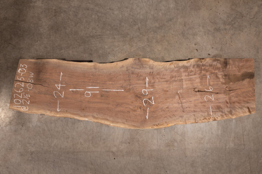 Oregon Black Walnut Slab 102625-3