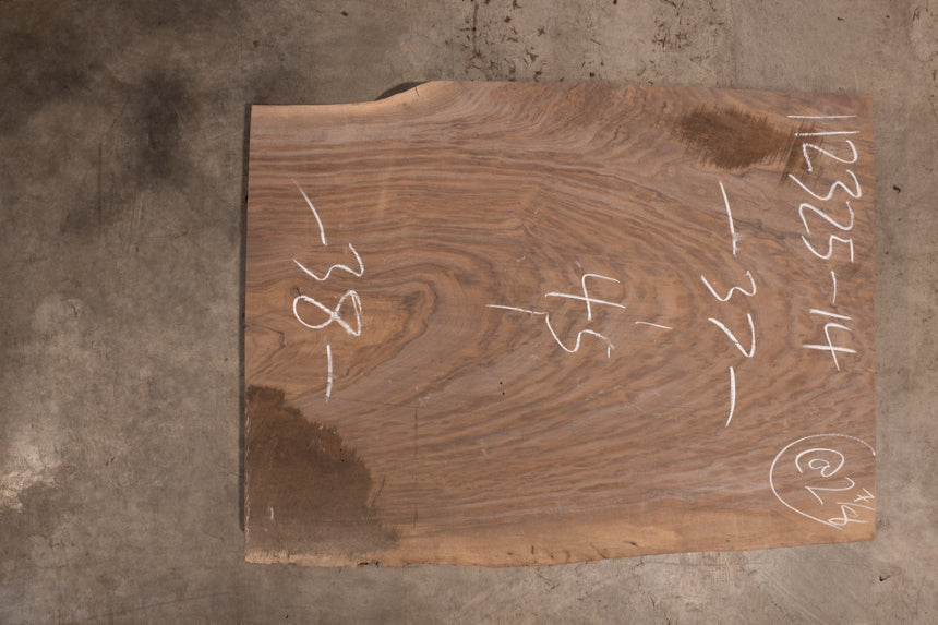 Oregon Black Walnut Slab 112325-14
