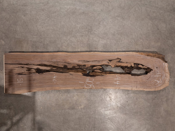 Oregon Black Walnut Slab 121425-1