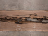 Oregon Black Walnut Slab 121425-1