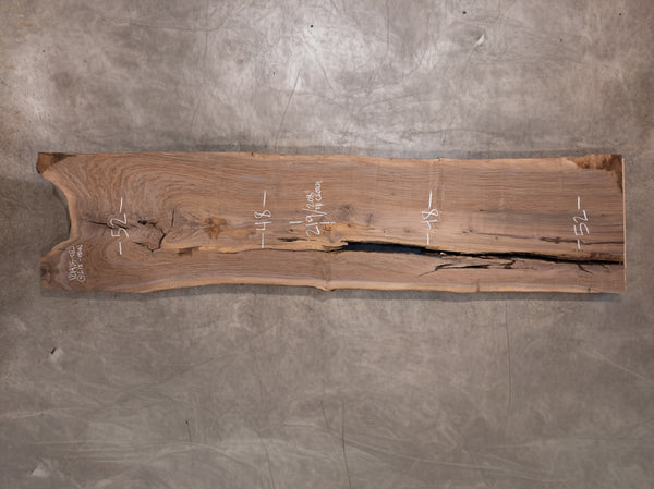 Oregon Black Walnut Slab 121425-2