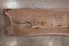 Oregon Black Walnut Slab 121425-2