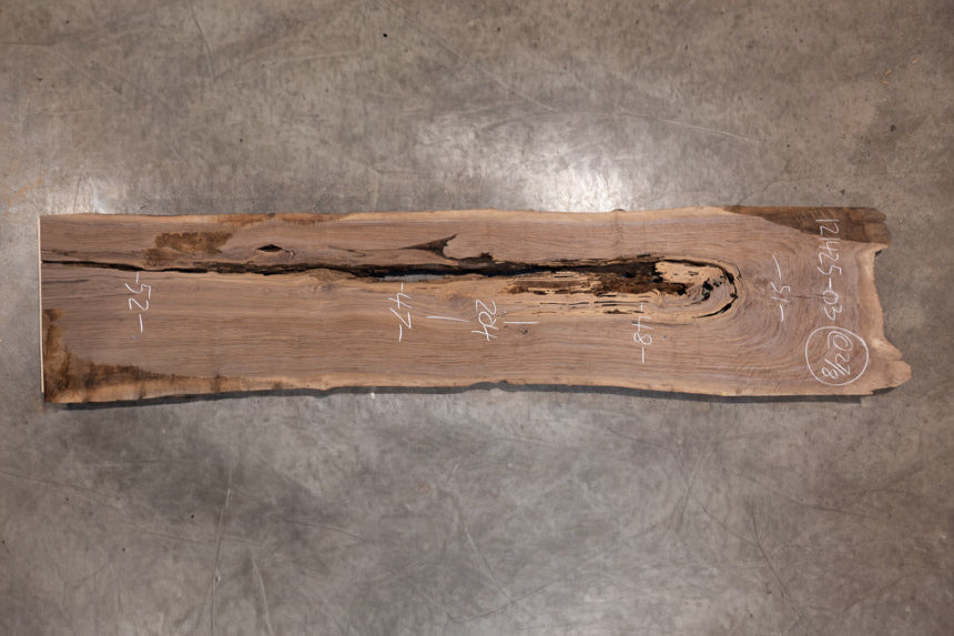 Oregon Black Walnut Slab 121425-3