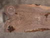 Oregon Black Walnut Slab 121425-12
