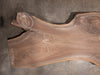 Oregon Black Walnut Slab 083021-5