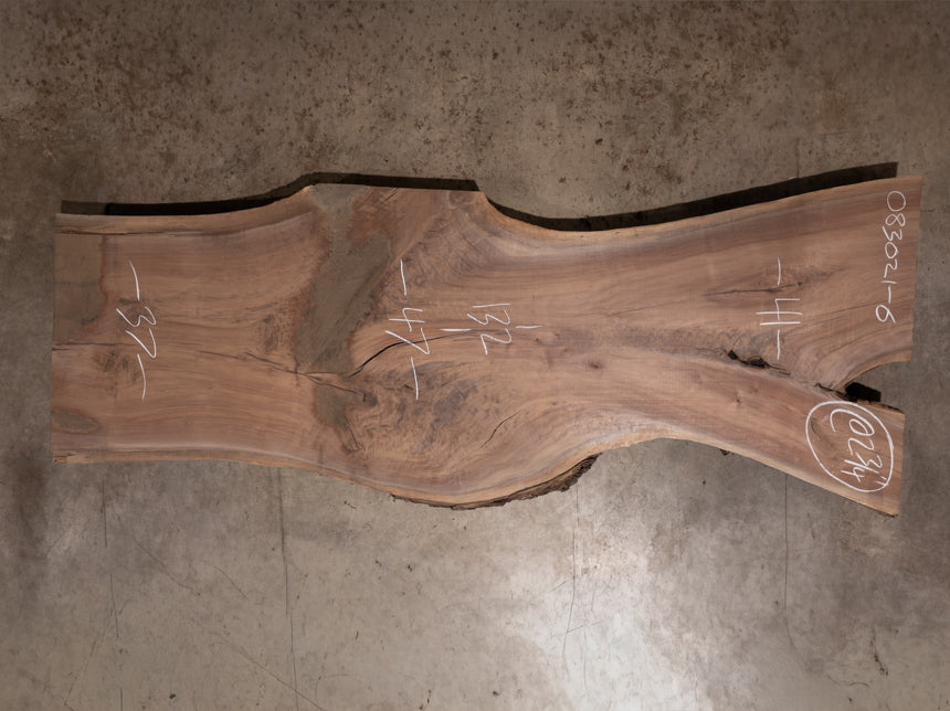 Oregon Black Walnut Slab 083021-6