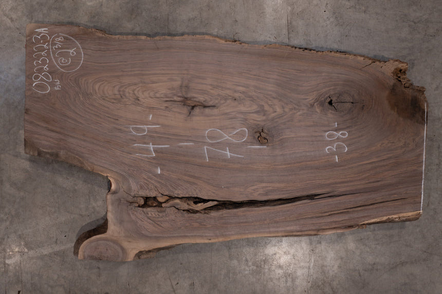 Oregon Black Walnut Slab 082322-3A