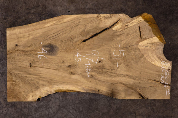 Oregon White Oak Slab MA 011826-22