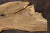 Oregon White Oak Slab MA 011826-21