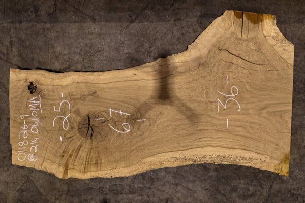 Oregon White Oak Slab MA 011826-9