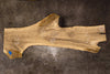 Oregon White Oak Slab MA 011826-10