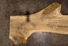 Oregon White Oak Slab MA 011826-10