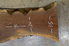 Oregon Black Walnut Slab 122819-2
