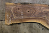 Oregon Black Walnut Slab 072122-8