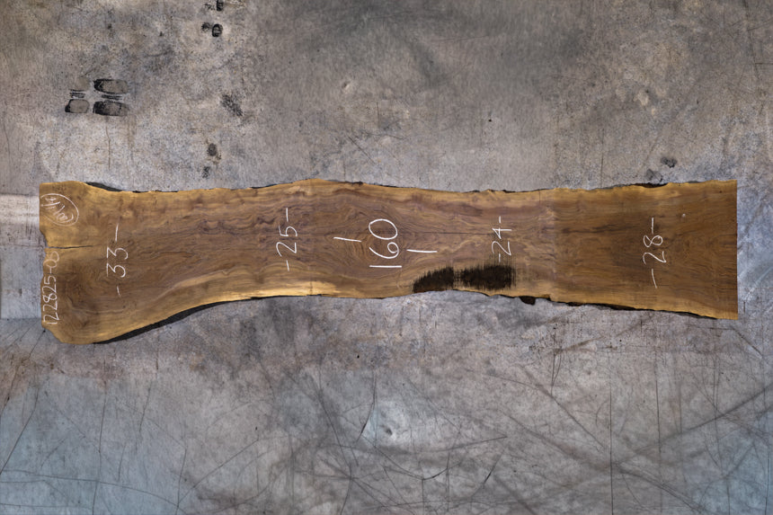 Oregon Black Walnut Slab 122825-5