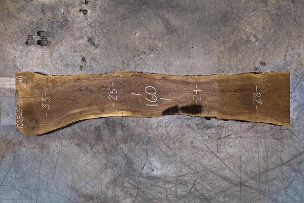 Oregon Black Walnut Slab 122825-5
