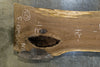 Oregon Black Walnut Slab 060520-3