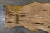 Sycamore Slab 122825-1