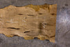 Sycamore Slab 122825-1