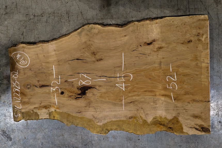 Sycamore Slab 122825-2