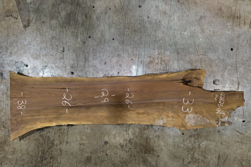 Oregon Black Walnut Slab 122825-4