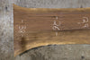 Oregon Black Walnut Slab 122825-4