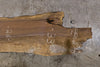 Oregon Black Walnut Slab 122825-4