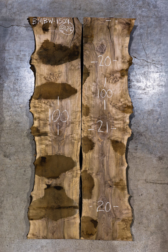 Bastogne Walnut Bookmatch BMBW-1509