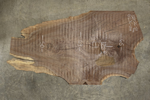 Oregon Black Walnut Slab 021526-01TV100