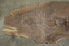 Oregon Black Walnut Slab 021526-01TV100