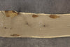 Oregon White Oak Slab 022226-03