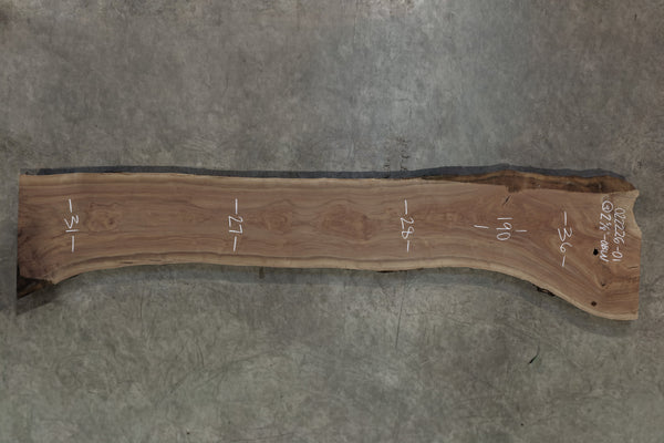 Oregon Black Walnut Slab 022226-01