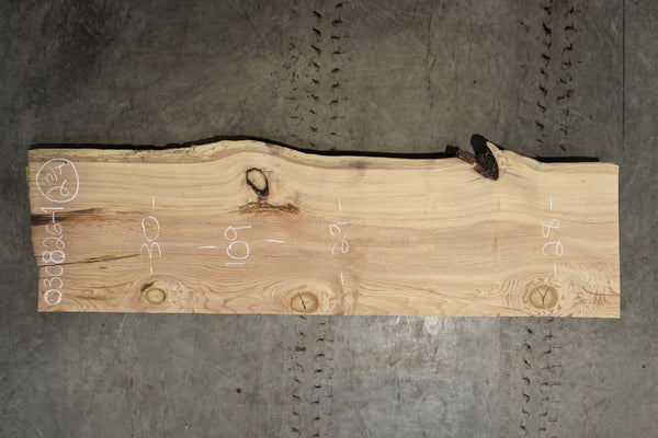 Oregon Fir Slab 030826-1