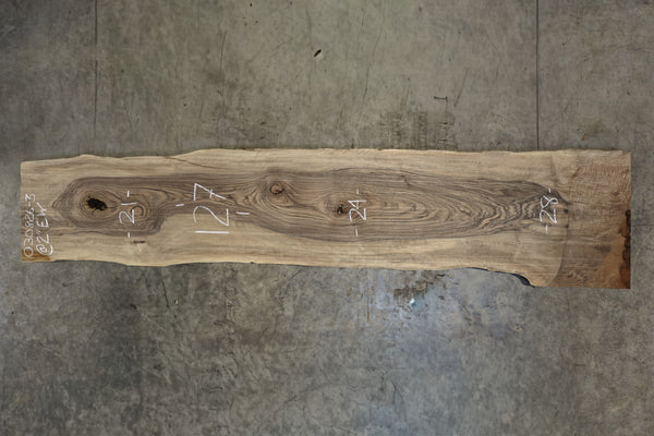 English Walnut Slab 030826-3