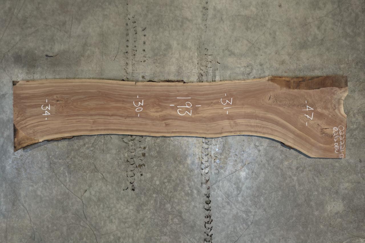Oregon Black Walnut Slab 022226-02