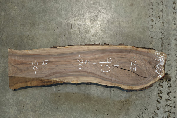 Oregon Black Walnut Slab 030126-03