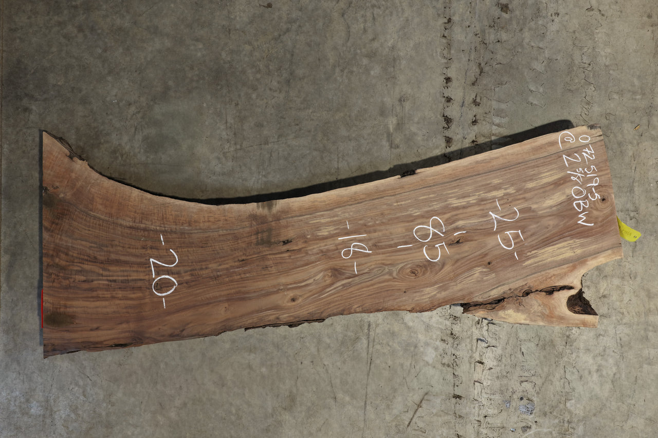 Oregon Black Walnut Slab 072519-5