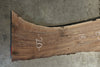 Oregon Black Walnut Slab 072519-5