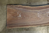 Oregon Black Walnut Slab 030126-01