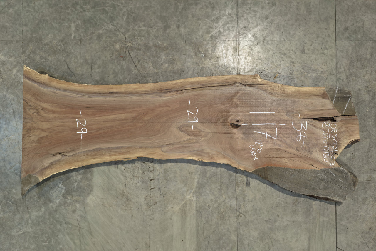 Oregon Black Walnut Slab 083021-3