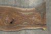 Oregon Black Walnut Slab 030615-04