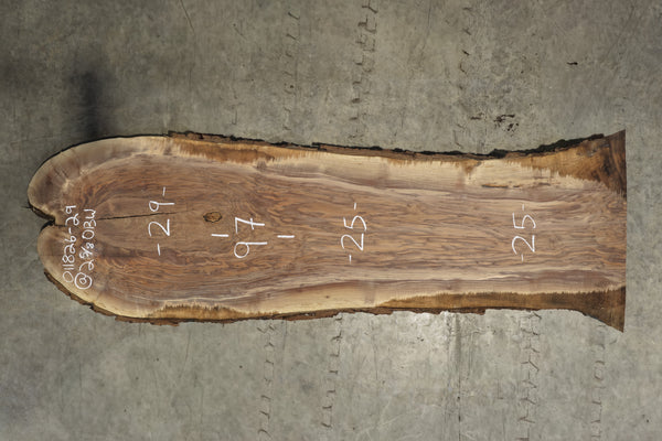 Oregon Black Walnut Slab 011826-29