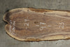 Oregon Black Walnut Slab 011826-29