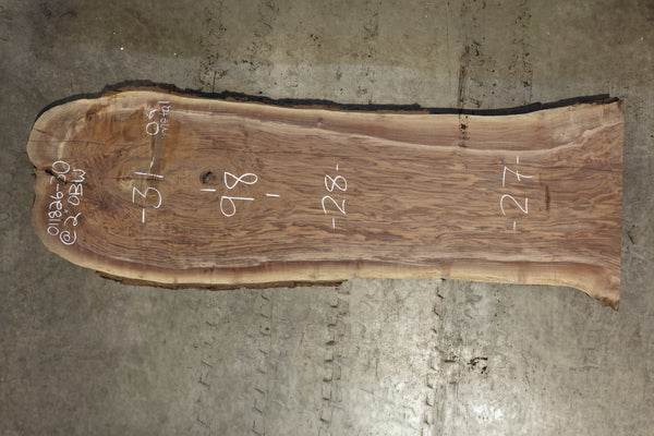 Oregon Black Walnut Slab 011826-30
