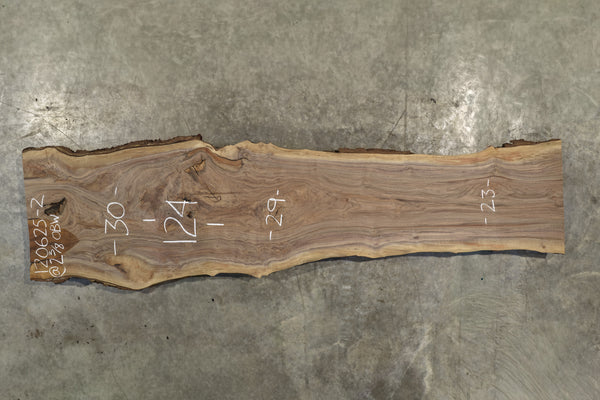 Oregon Black Walnut Slab 120625-02