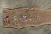 Oregon Black Walnut Slab 120625-02