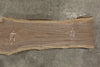 Oregon Black Walnut Slab 120625-02