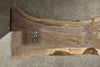 Oregon Black Walnut Slab 120625-16